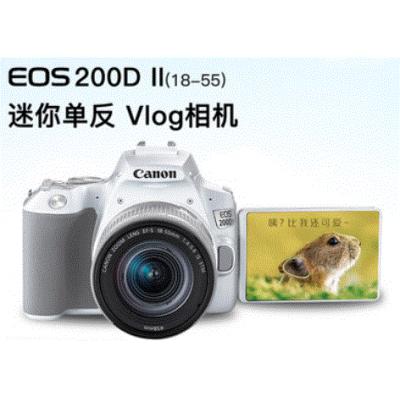 佳能EOS 200d二代单反相机18-55mm套机佳能200d2 ii相机学生 入门级相机数码 高清 旅游 学生相机单反女生 